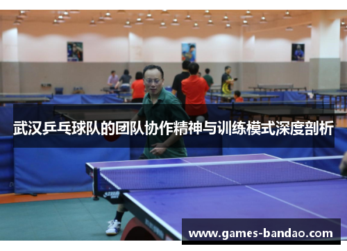 武汉乒乓球队的团队协作精神与训练模式深度剖析